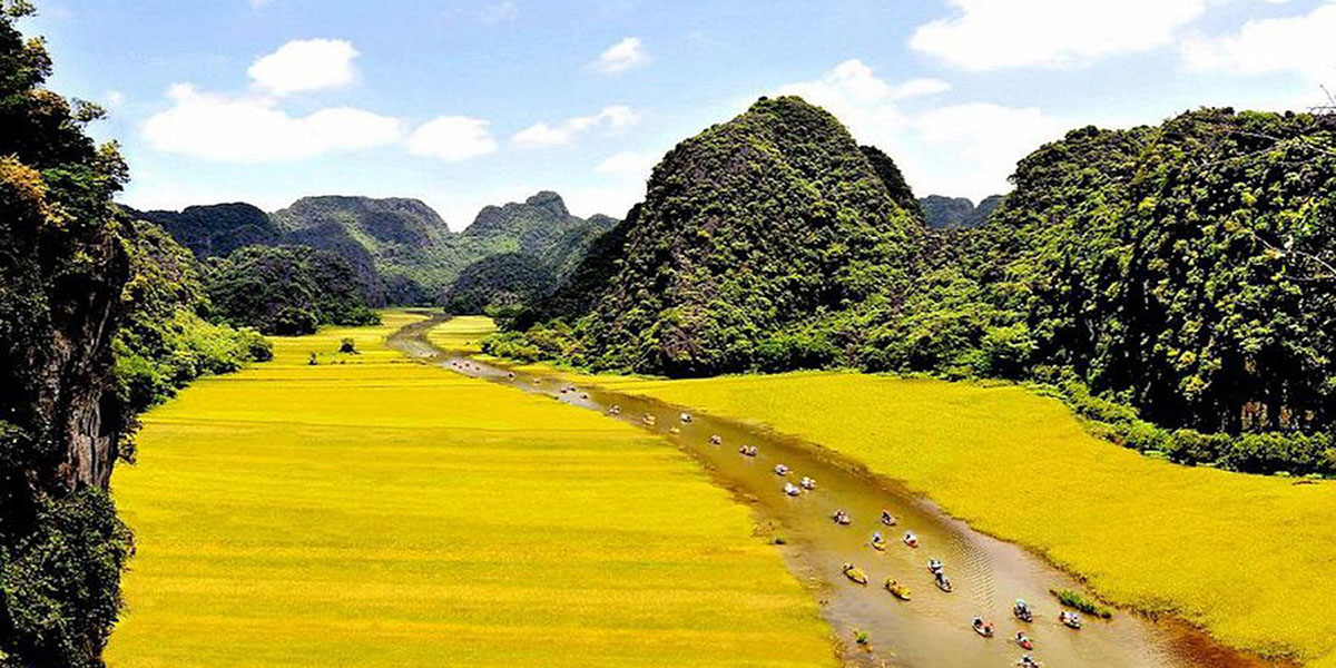 tam-coc-lavender-homestay